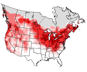 Summer range of the song sparrow