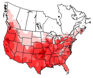 Winter range of the red-tailed hawk