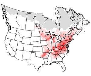 Summer range of the scarlet tanager