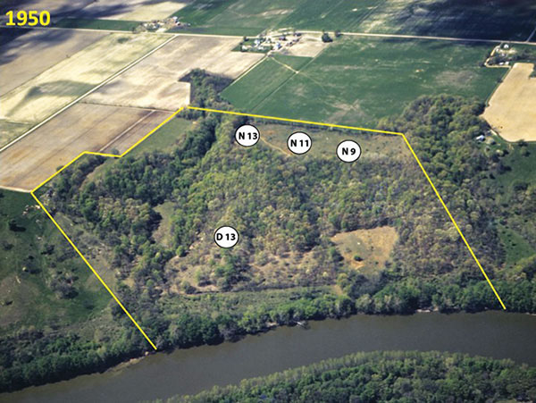 Aerial photo of the reserve in 1950