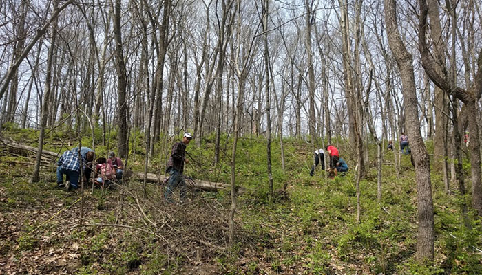 Students in the woods