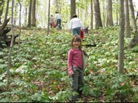 Children in the woods