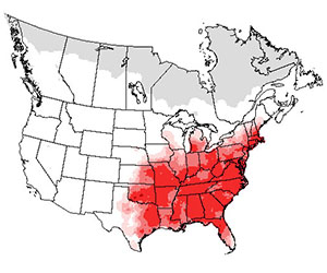 Summer range of the tufted titmouse