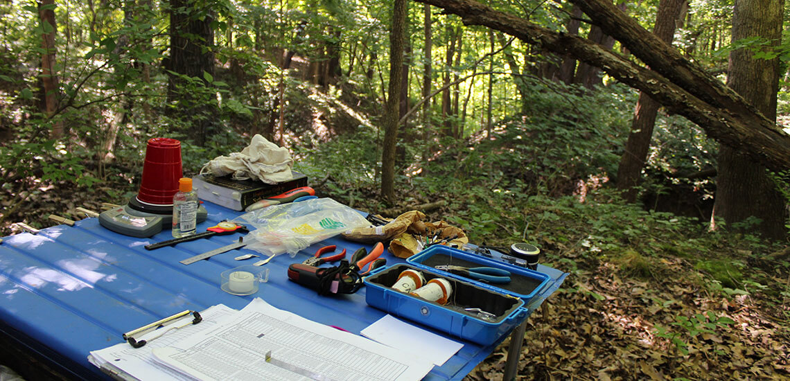 Table of research in the reserve